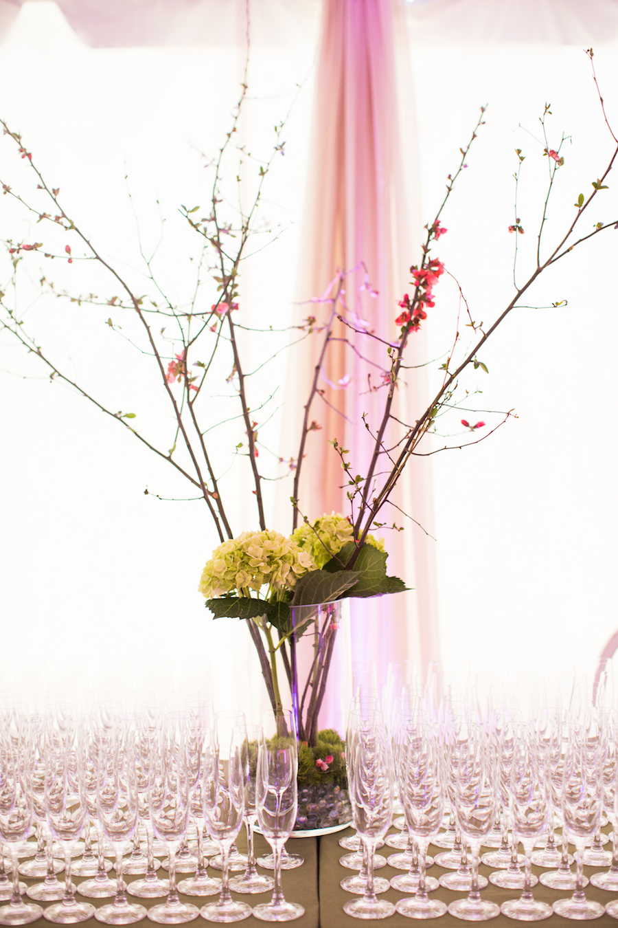 L'Amour du Vin 2018 at Knoxville Museum of Art 24.jpg